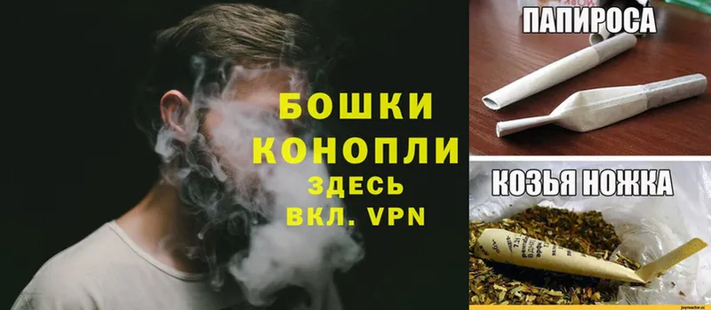 Канабис OG Kush  Усолье 